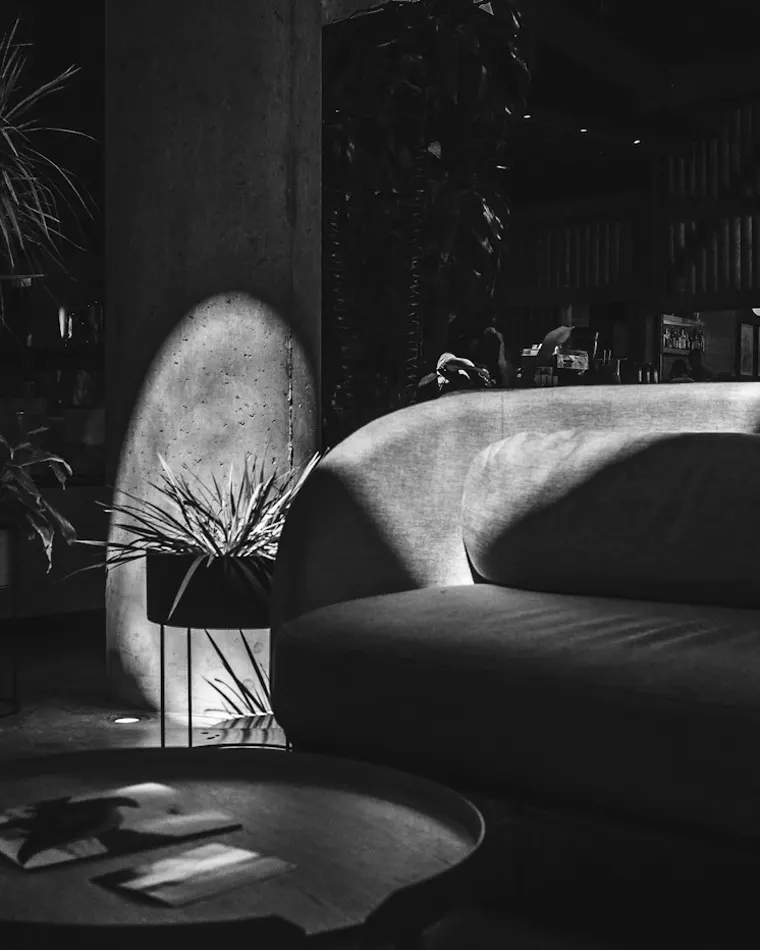 Sofa beside a window in daylight